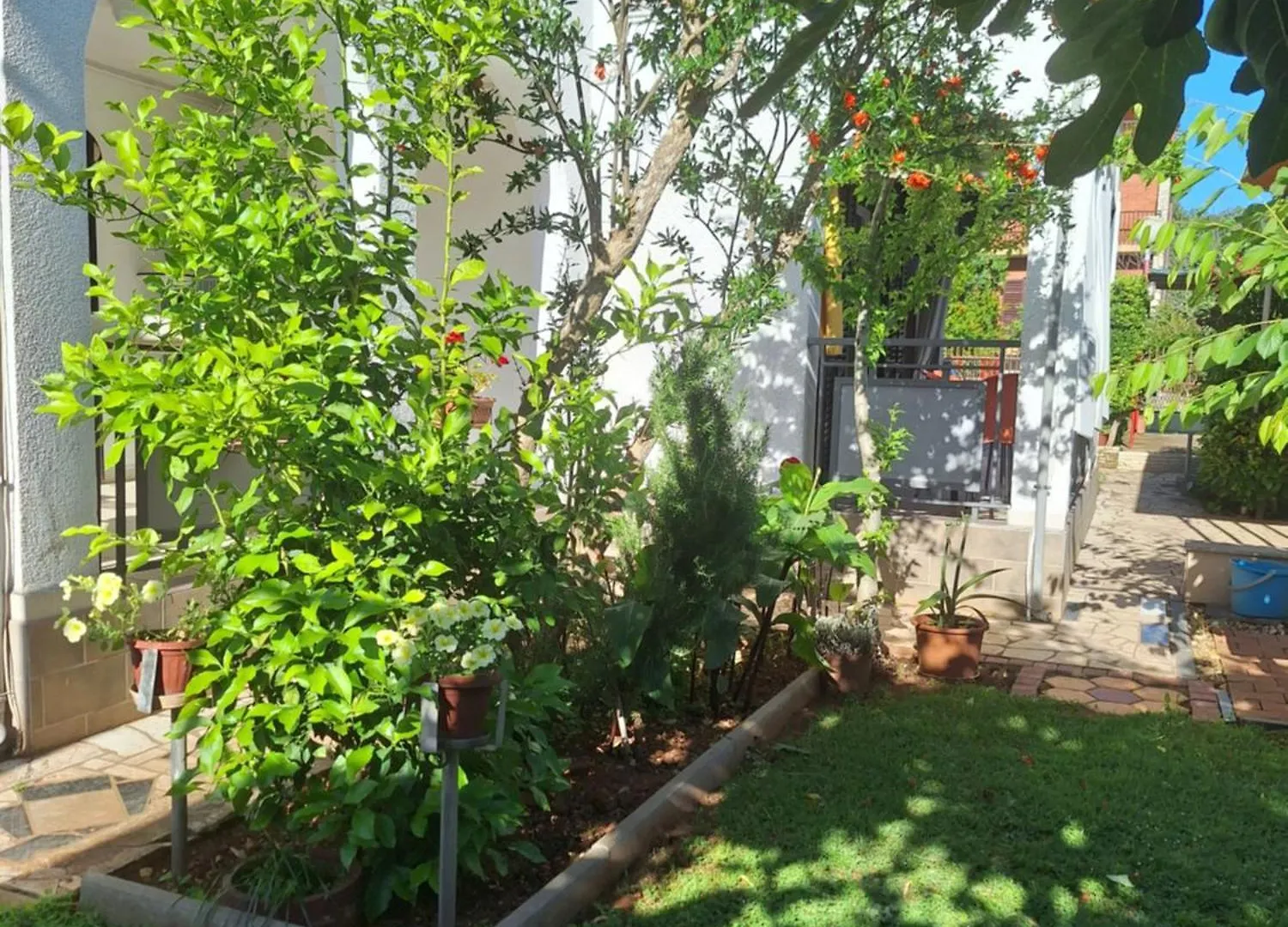 Apartments Ana 418 Fazana 0*,  Croatia